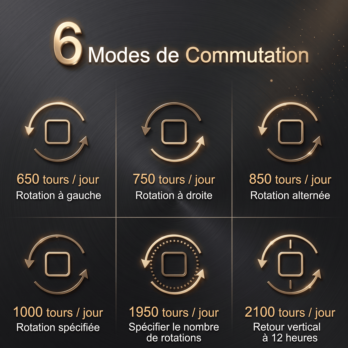 Ravbold Torx - Coffret de rangement pour montres en bois de luxe avec remontoir automatique